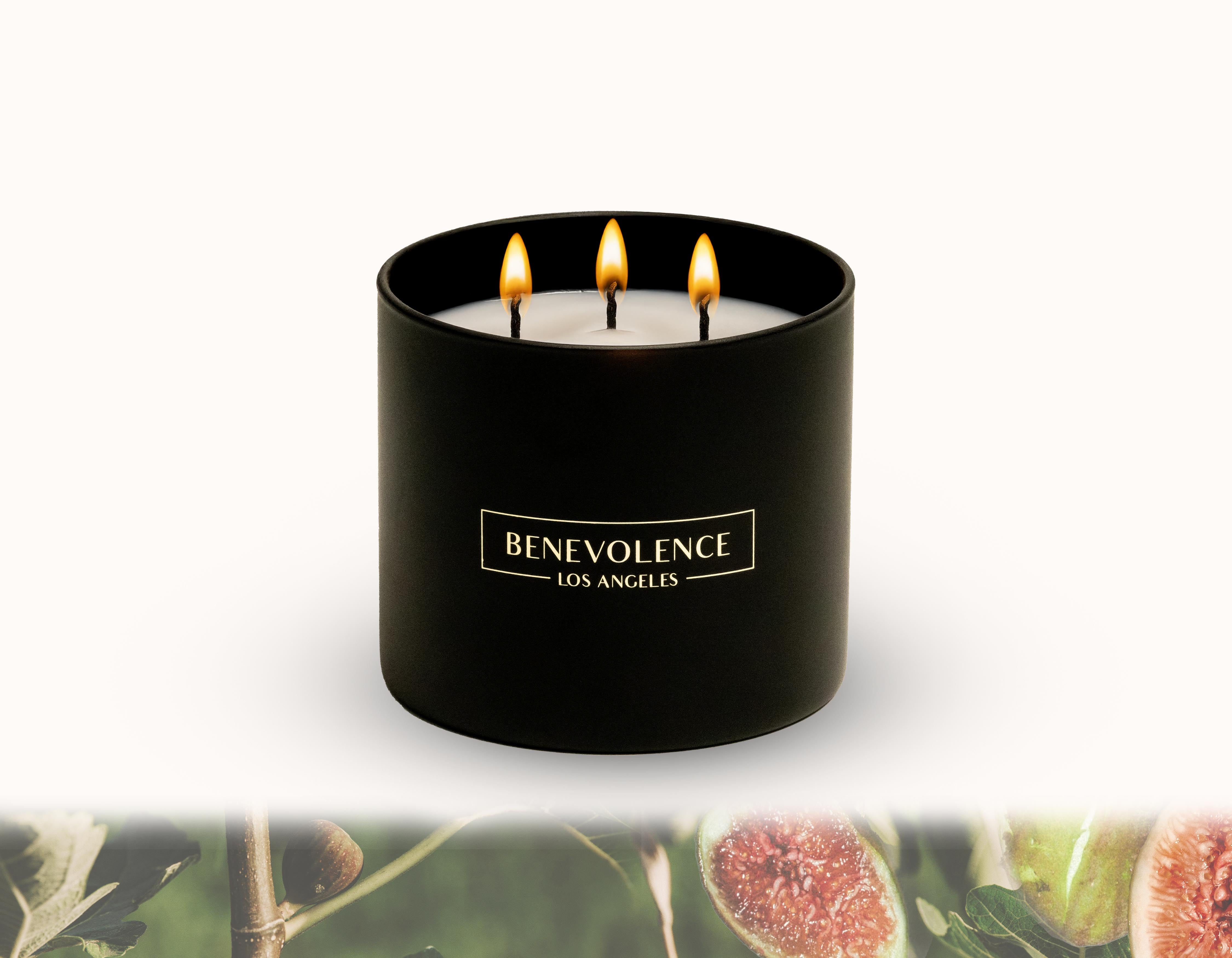 Fig Tree Matte Black Core Candle
