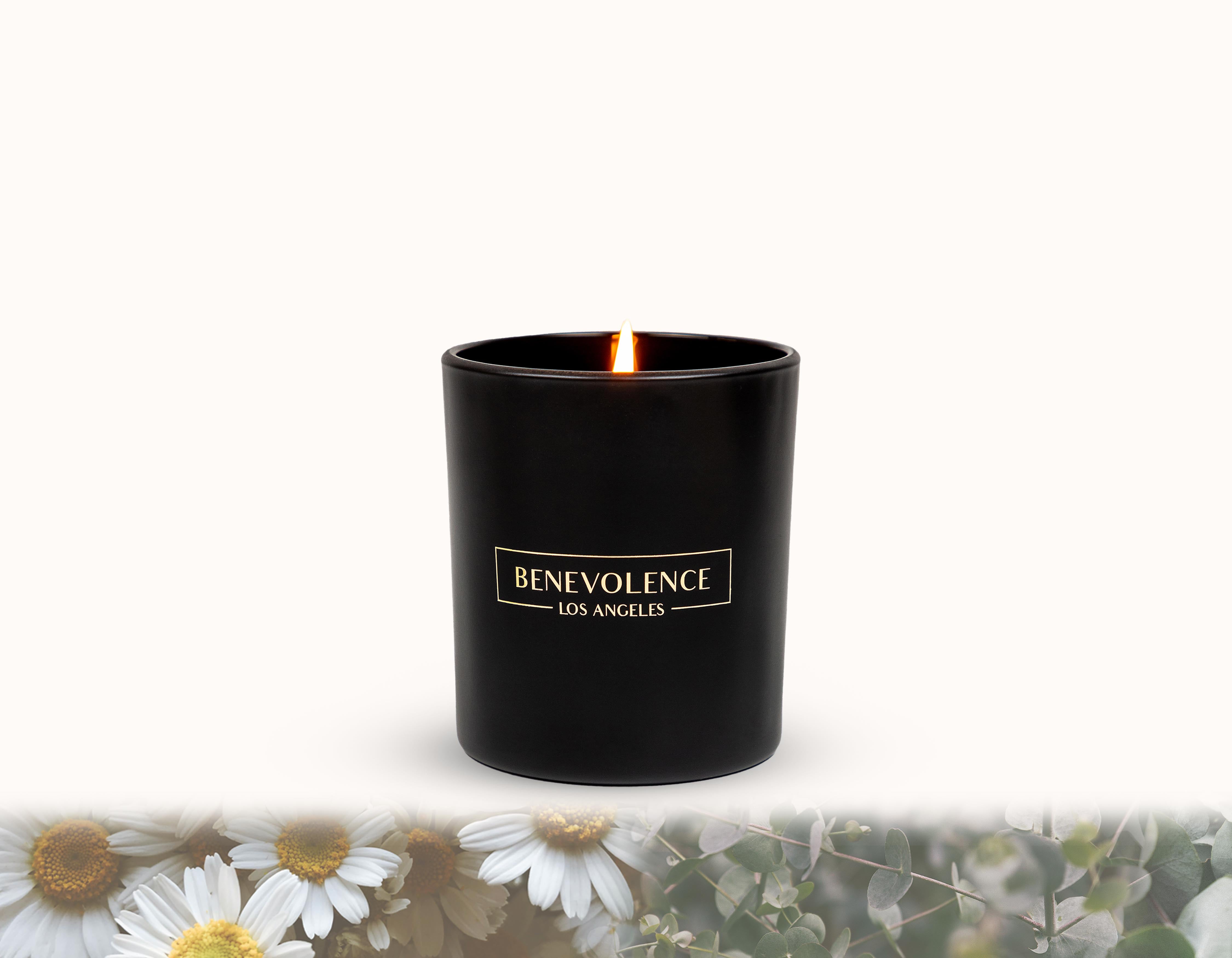 Eucalyptus & Chamomile Matte Black Core Candle