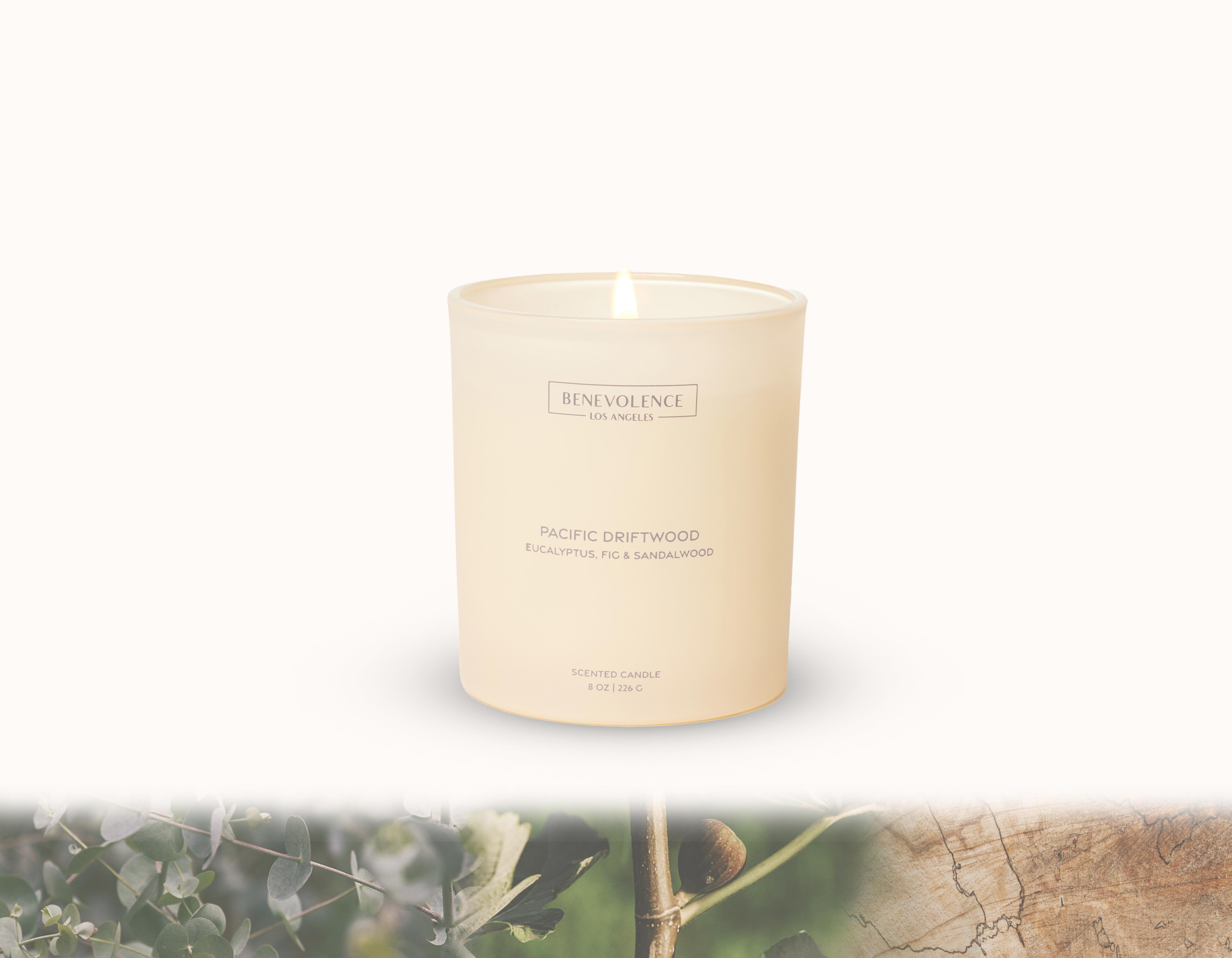 Pacific Driftwood Malibu Sands Candle