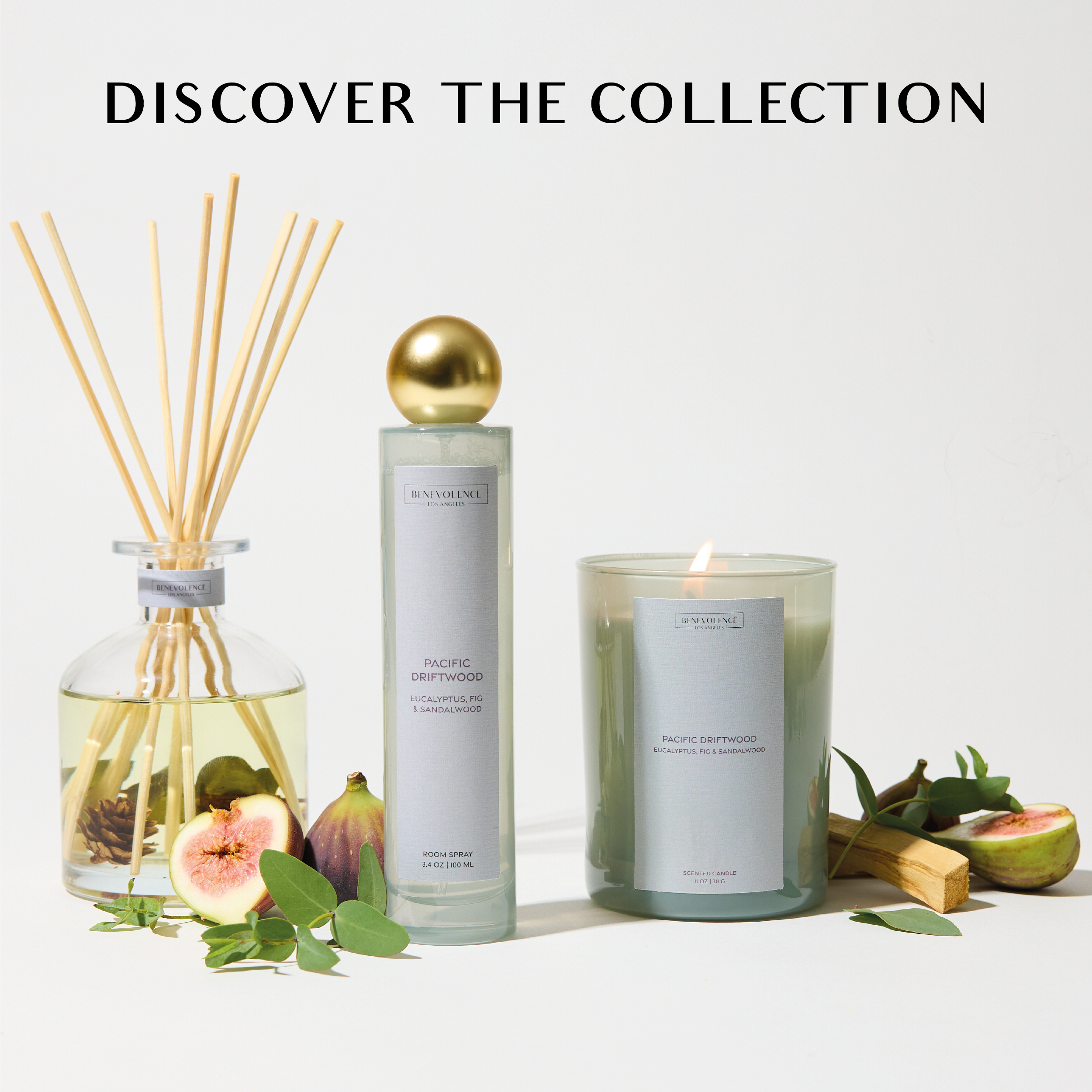 Pacific Driftwood Sun-Kissed Reed Diffuser