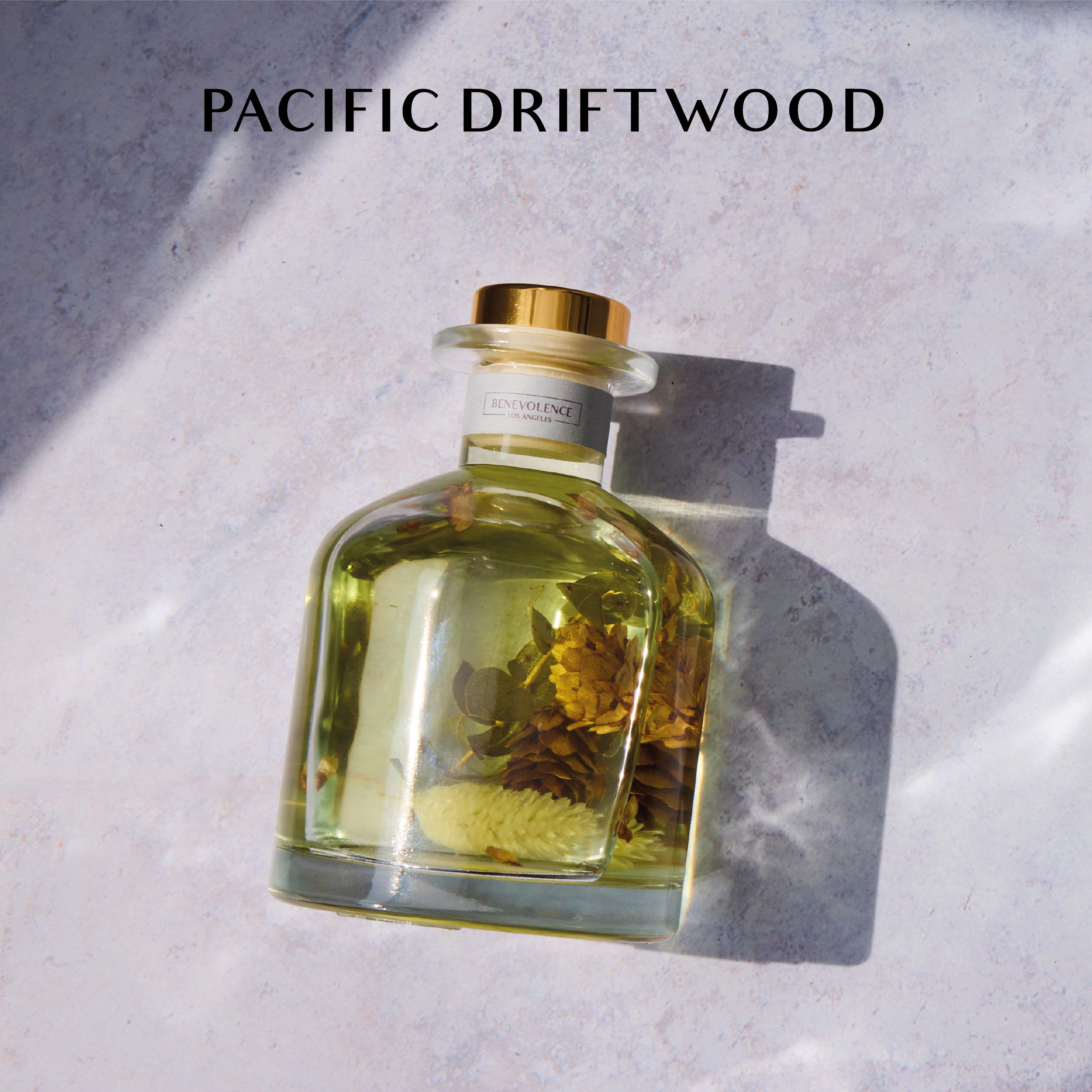 Pacific Driftwood Sun-Kissed Reed Diffuser