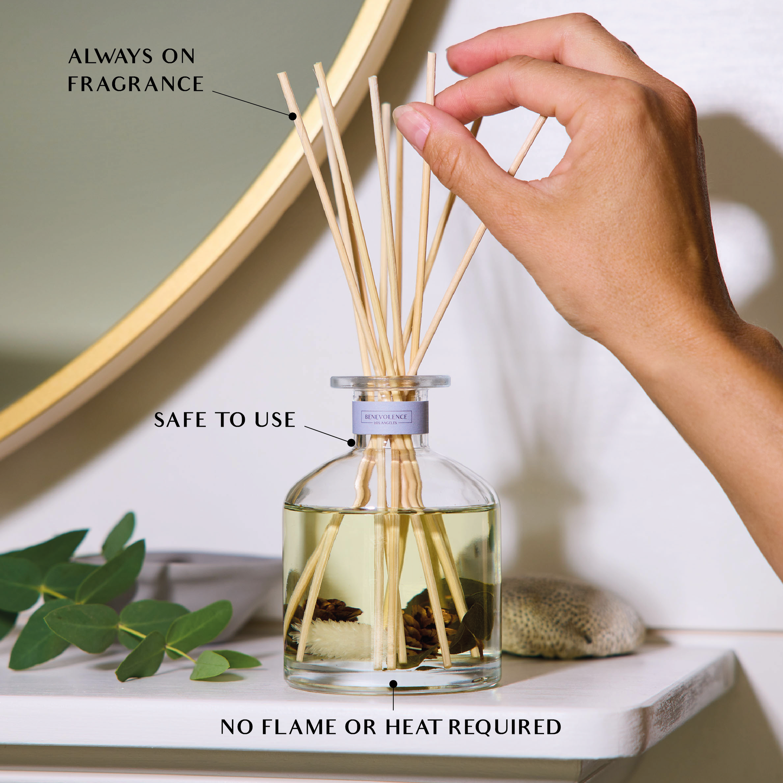 Pacific Driftwood Sun-Kissed Reed Diffuser