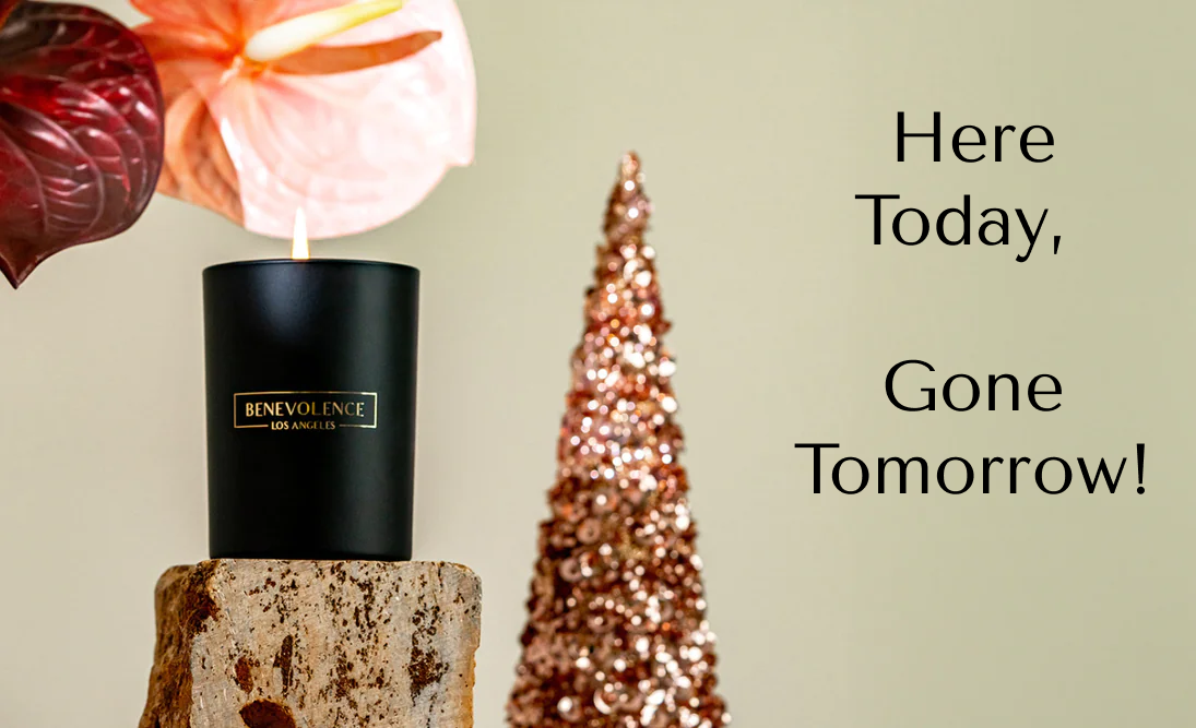 Holiday Deal Days