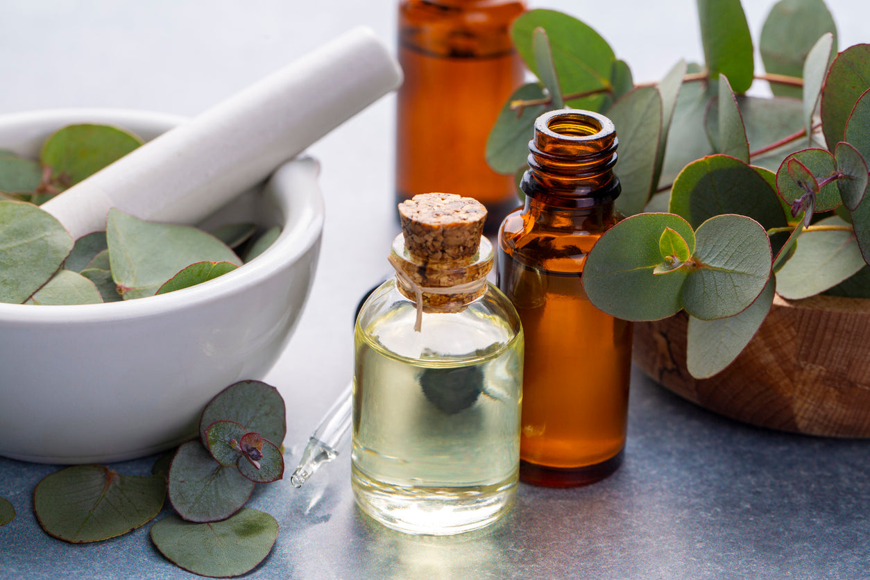 Eucalyptus & Herbal