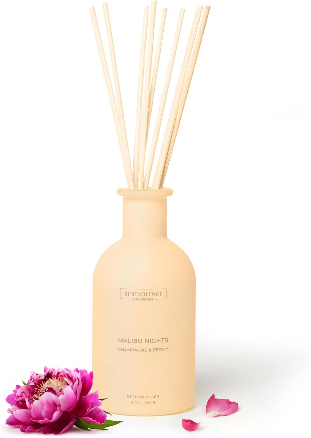 Malibu Sands - Malibu Nights Reed Diffuser