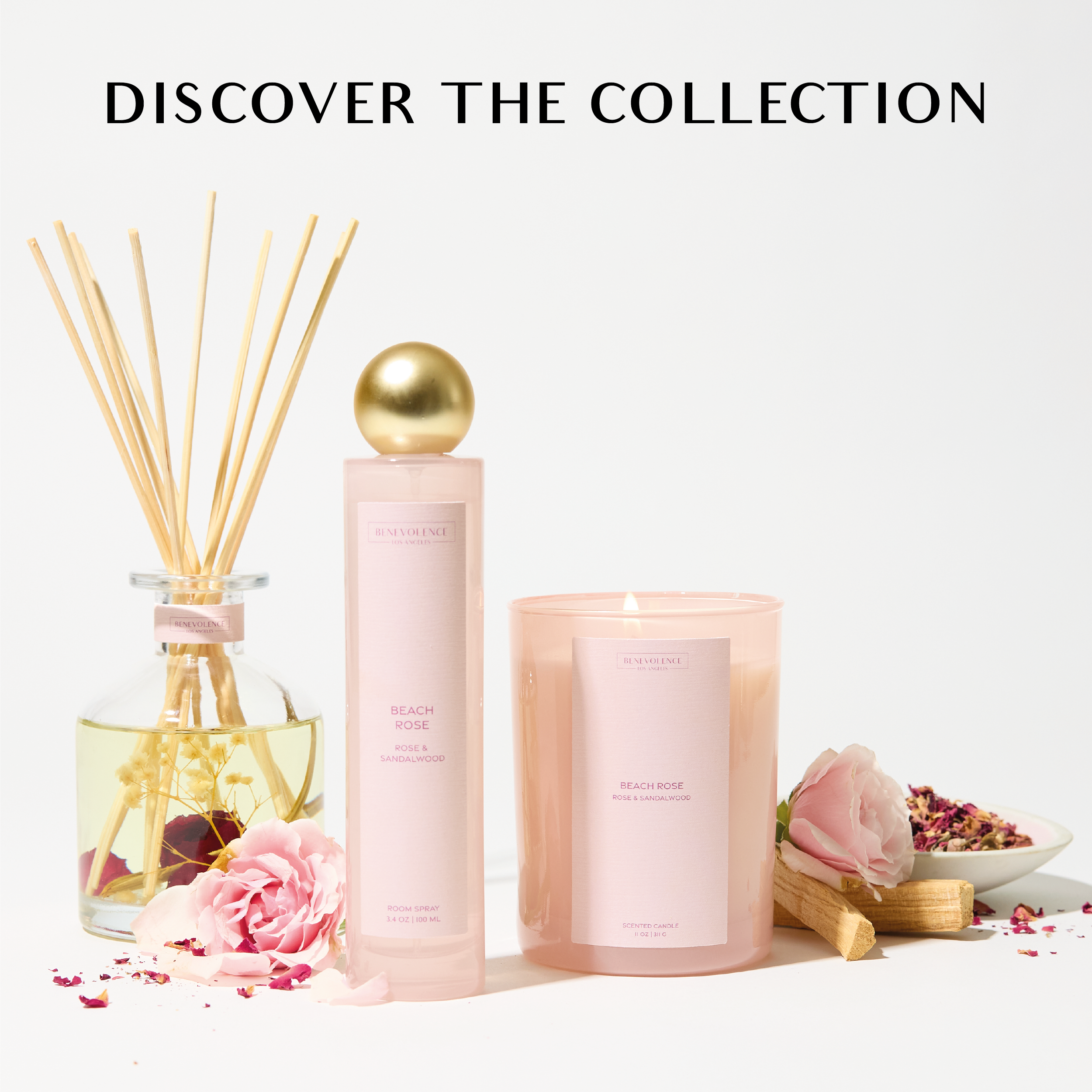 Beach Rose Sun-Kissed  Reed Diffuser