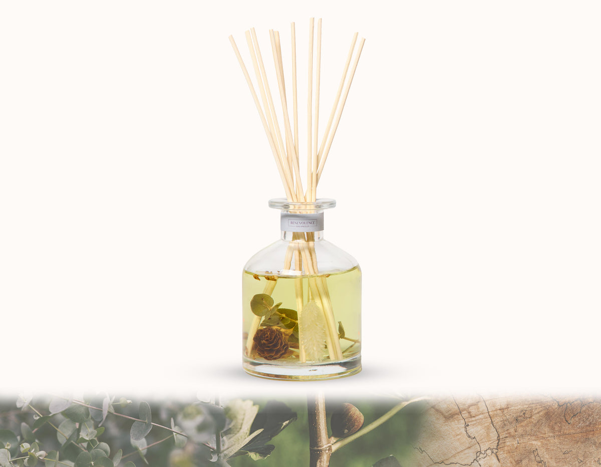 Pacific Driftwood Sun-Kissed Reed Diffuser | Sun-Kissed Collection ...
