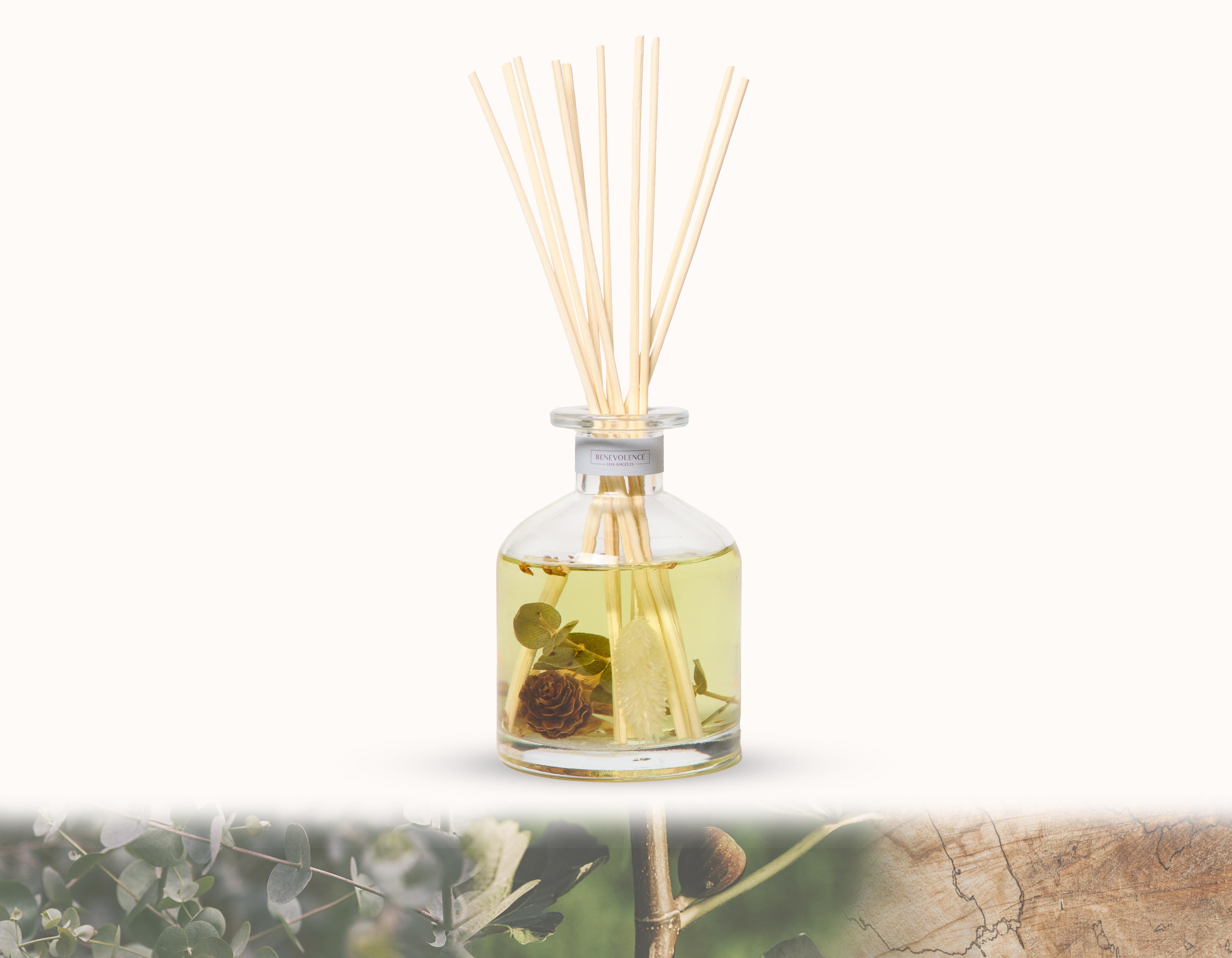 Pacific Driftwood Sun-Kissed Reed Diffuser