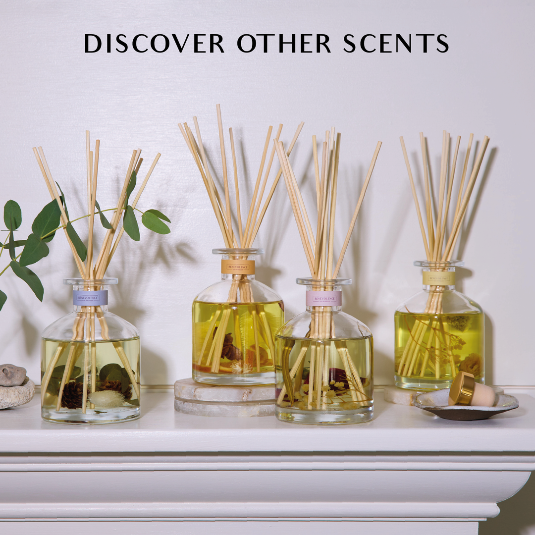 Sun Kissed - Golden Luster Reed Diffuser