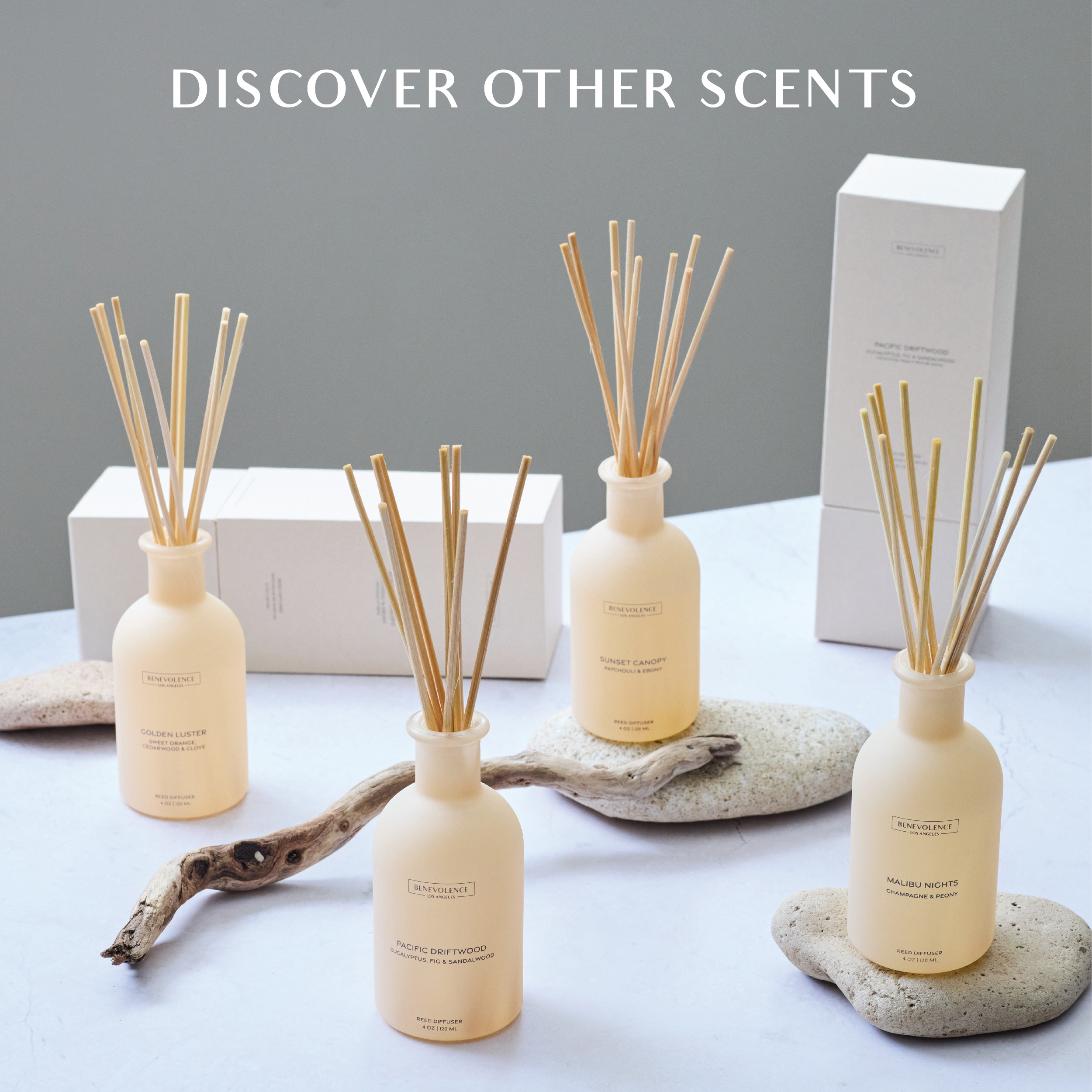 Sunset Canopy Malibu Sands Reed Diffuser
